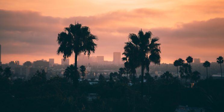 Aerial view of Los Angeles city and palms trees